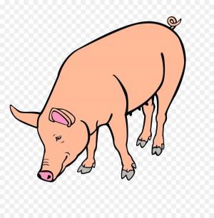 Раскраска свинья для детей #22 #147175