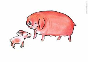 Раскраска свинья для детей #23 #147176
