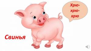 Раскраска свинья для детей #31 #147184