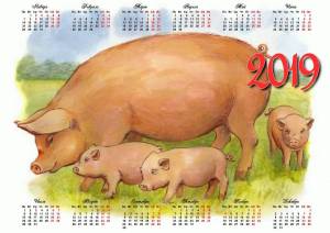 Раскраска свинья для детей #34 #147187