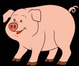 Раскраска свинья для детей #36 #147189