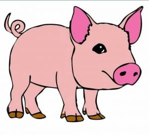 Раскраска свинья для детей #37 #147190
