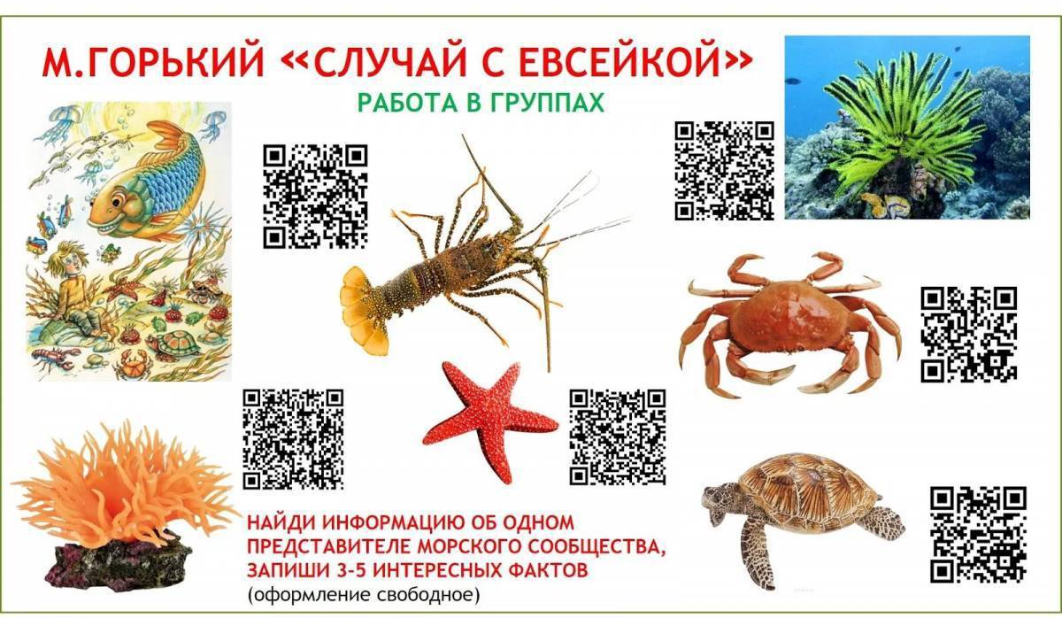 Технологическая карта 3 класс случай с евсейкой