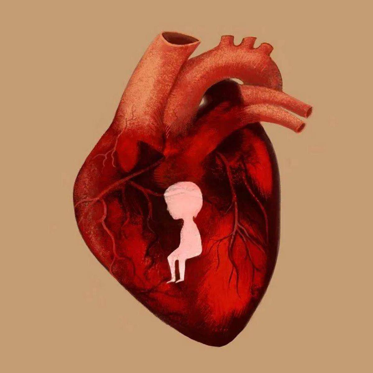 Сердце человека #18