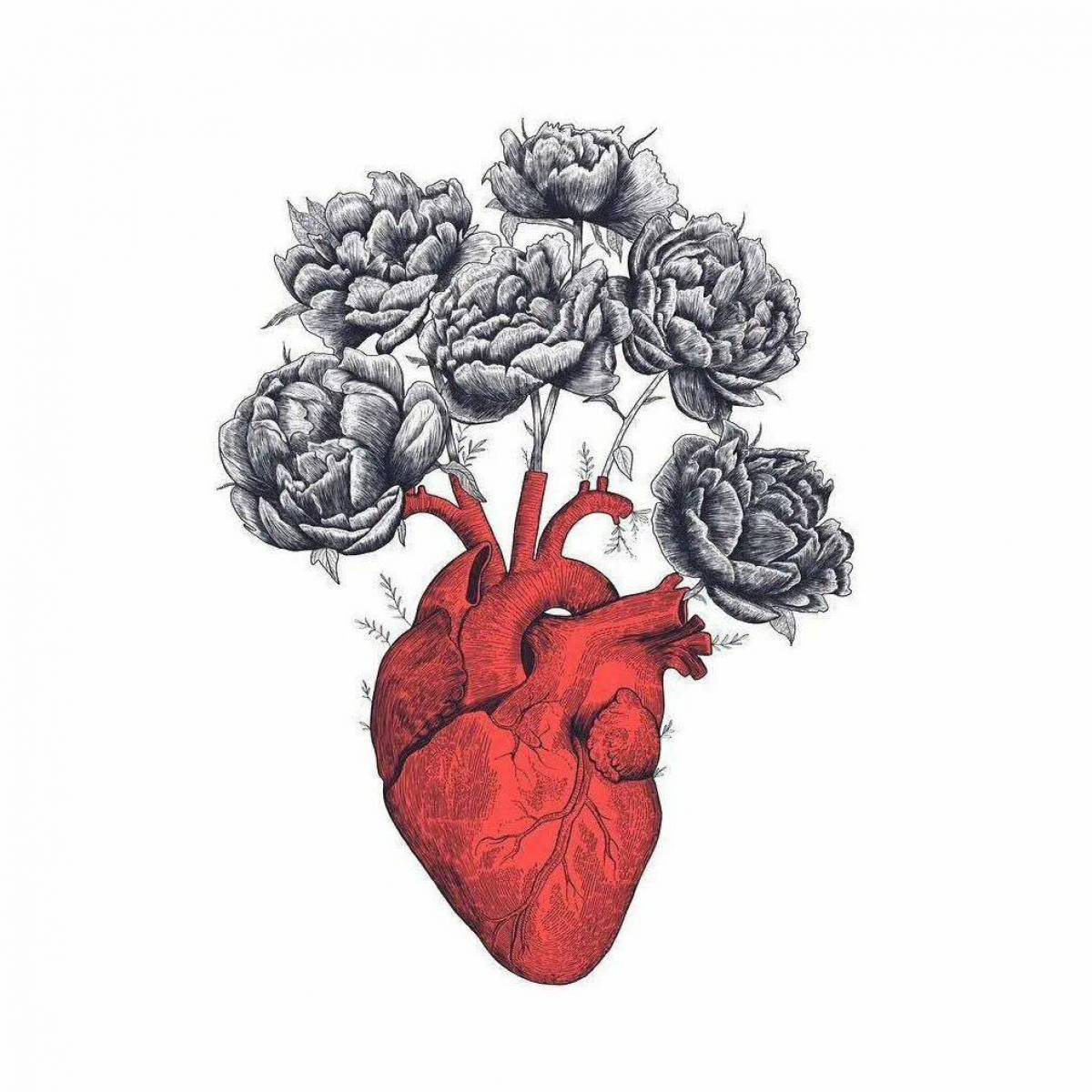 Сердце человека #22