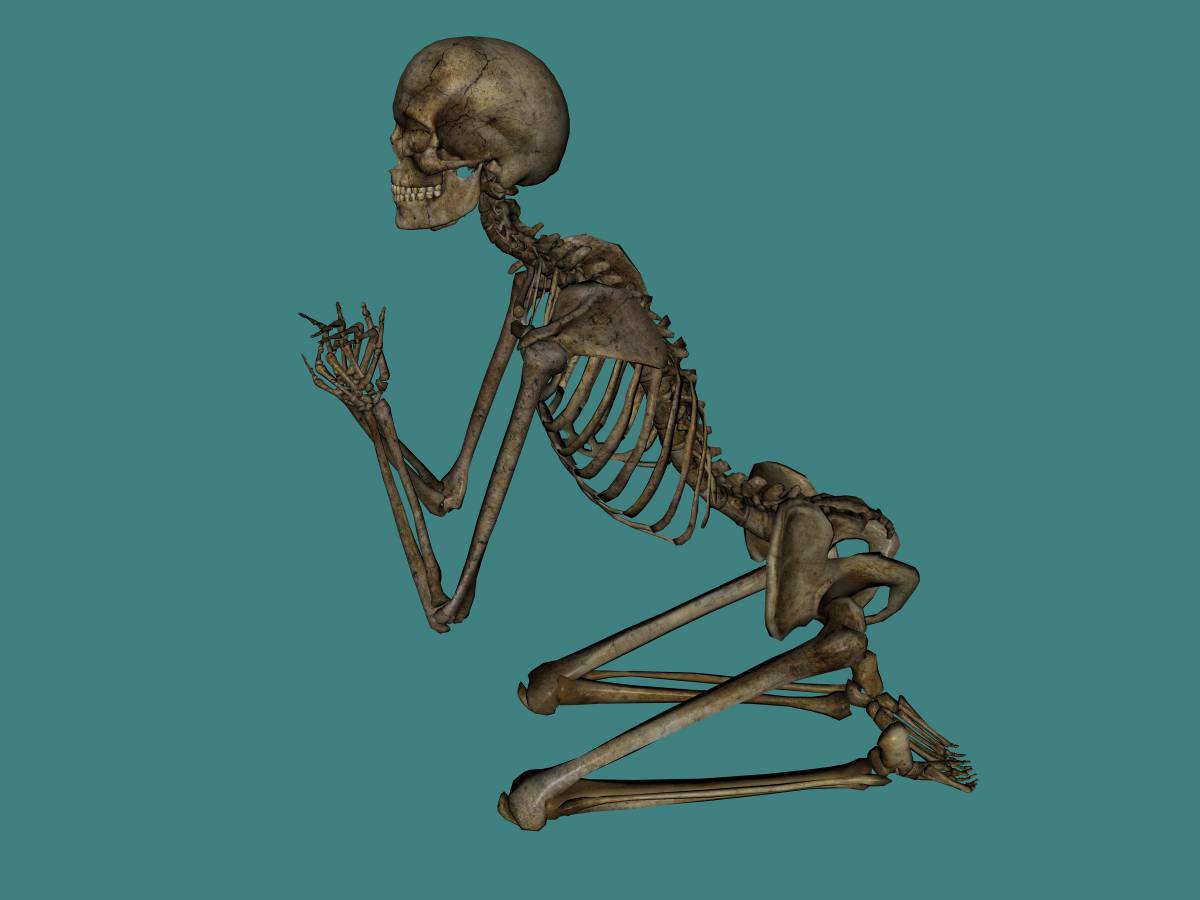 Скелет #3