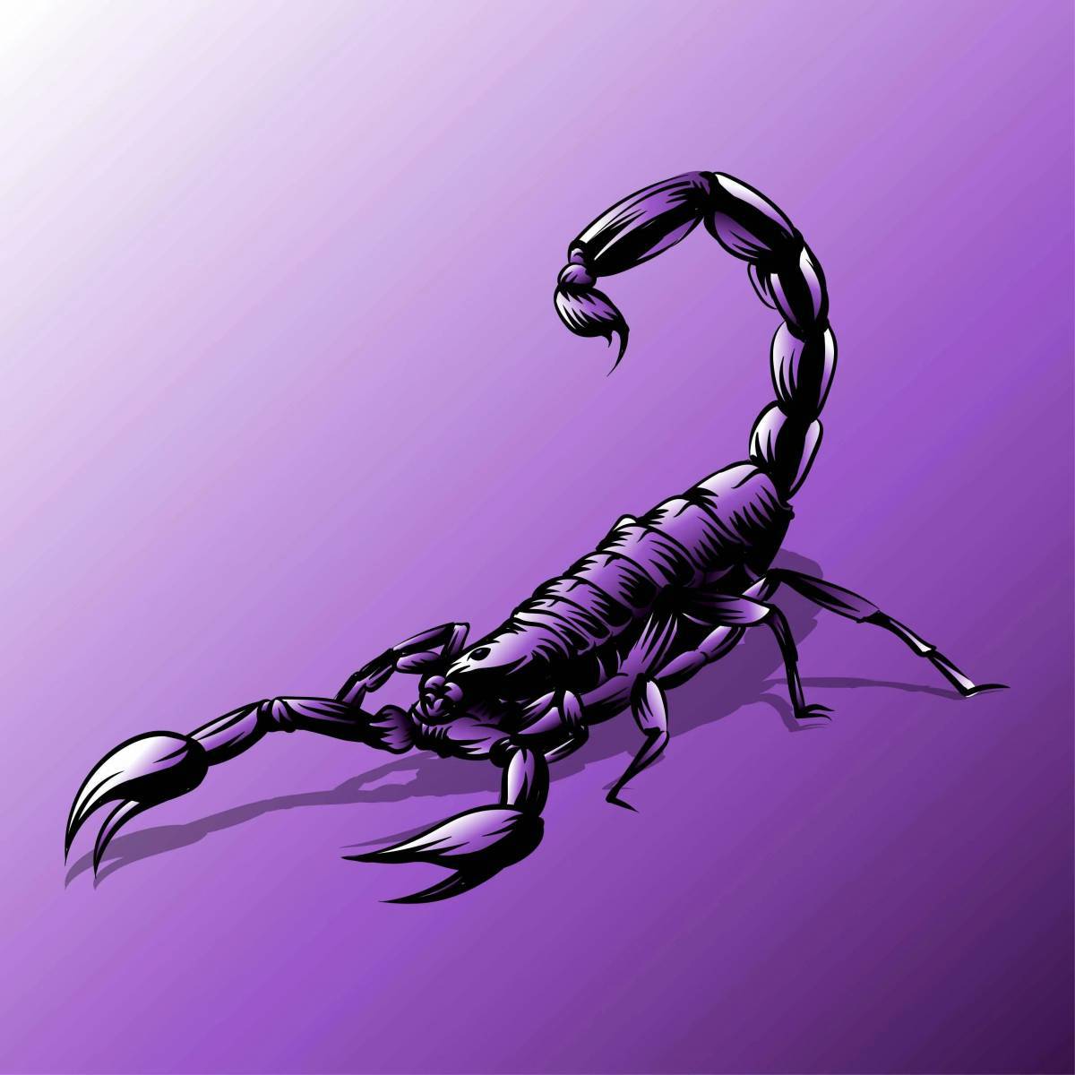 Скорпион #27