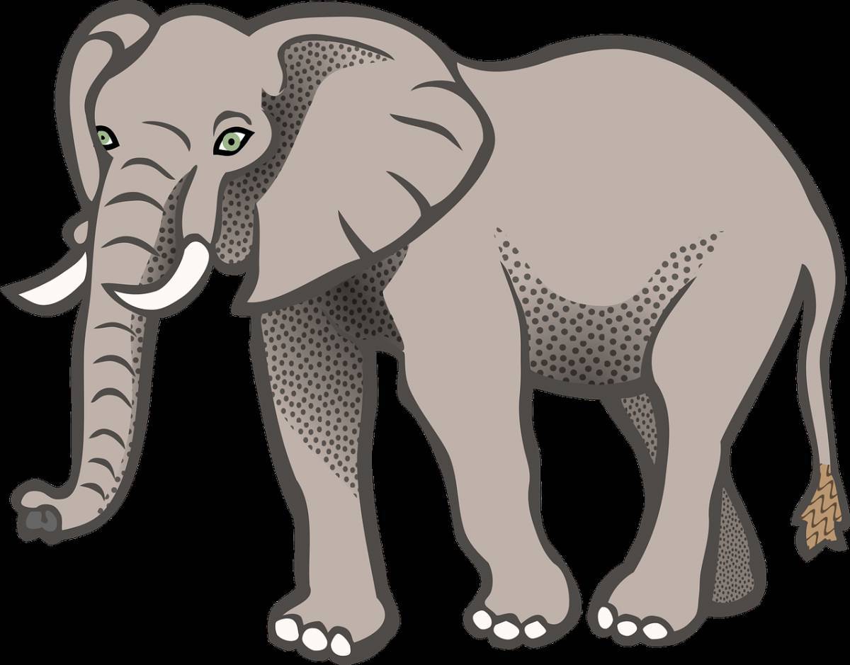 Слон картинка для детей #34