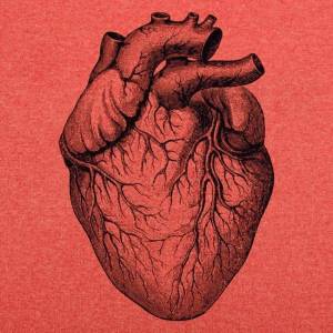 Раскраска сердце человека #19 #148143