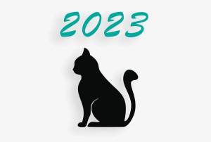 Раскраска символ 2023 года #21 #148475