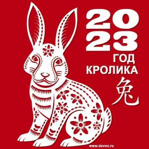 Раскраска символ 2023 года #23 #148477