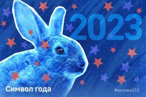 Раскраска символ 2023 года #25 #148479