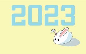Раскраска символ 2023 года #29 #148483