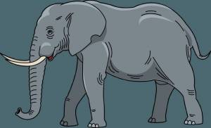 Раскраска слон картинка для детей #5 #151318