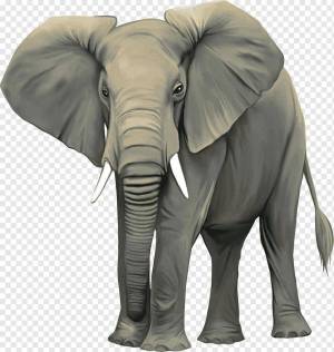 Раскраска слон картинка для детей #10 #151323