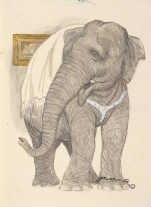 Раскраска слон куприн #3 #151352