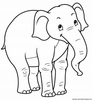 Раскраска слоник для детей 3 4 лет #21 #151504