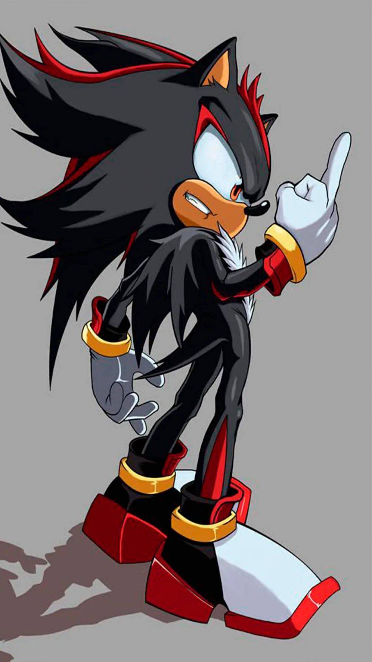 Steam shadow the hedgehog фото 94