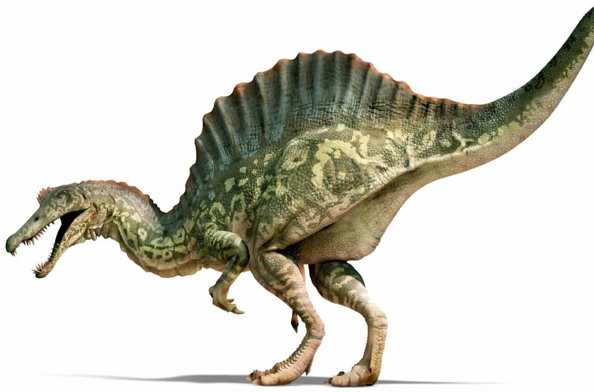 Спинозавр #12