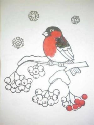 Раскраска снегирь на ветке рябины для детей шаблоны #8 #152354