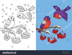 Раскраска снегирь на ветке рябины для детей шаблоны #21 #152367