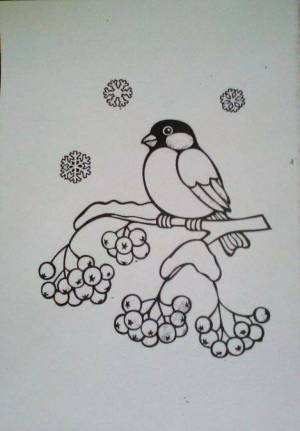 Раскраска снегирь на ветке рябины для детей шаблоны #24 #152370
