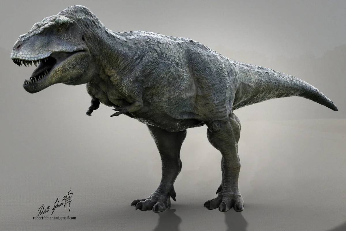 Про тарбозавра. Тарбозавр. Тарбозавр - хищный динозавр. Теропод Тарбозавр. Тарбозавр 3d 2011.