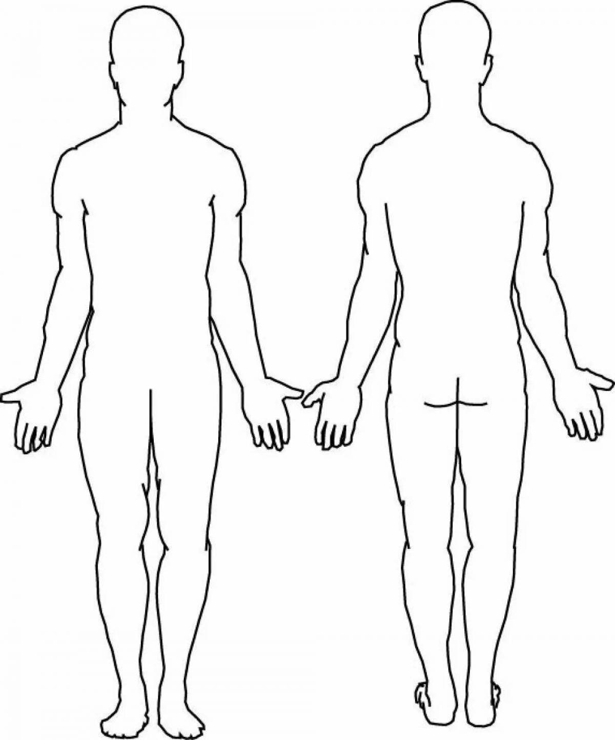 Туловище человека. Контур человека спереди и сзади. Тело человека контур спереди и сзади. Схема тела человека спереди и сзади. Контур человека сзади в полный рост.