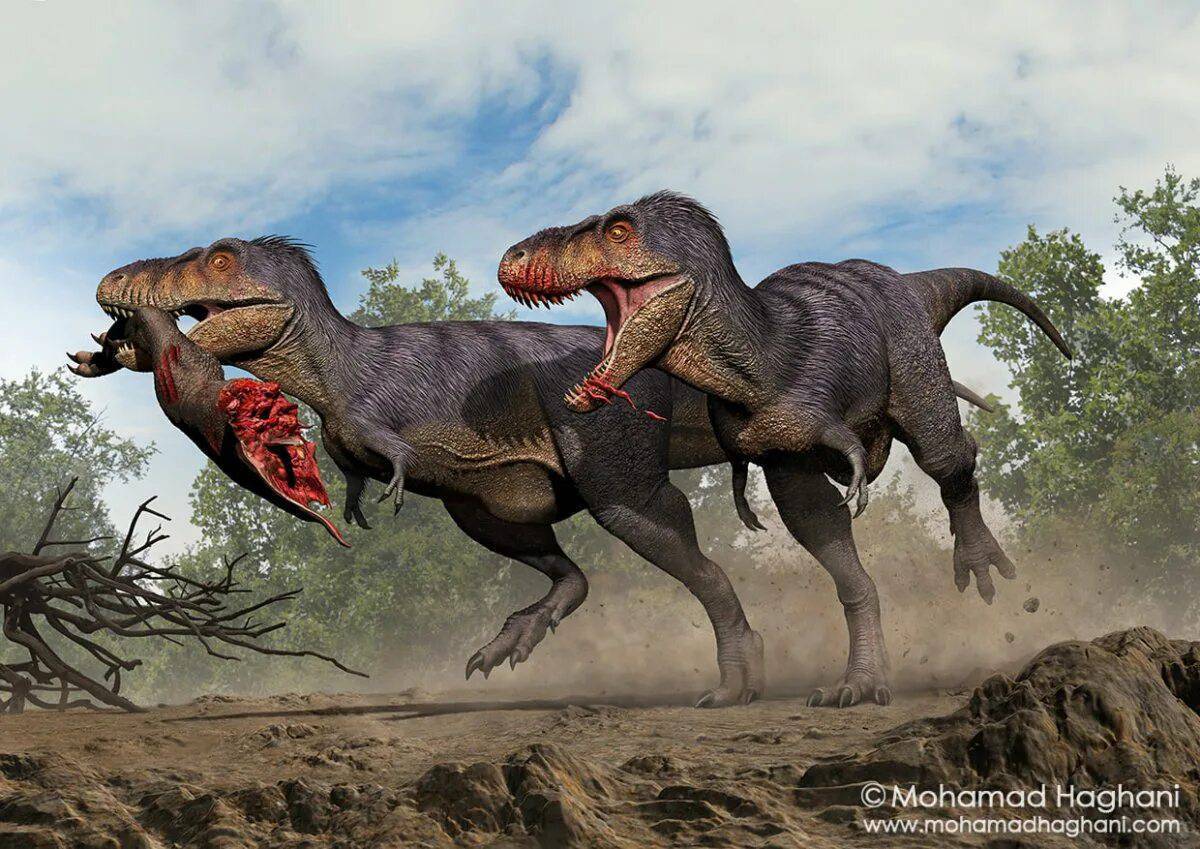 тарбозавр вики фэндом фото 62