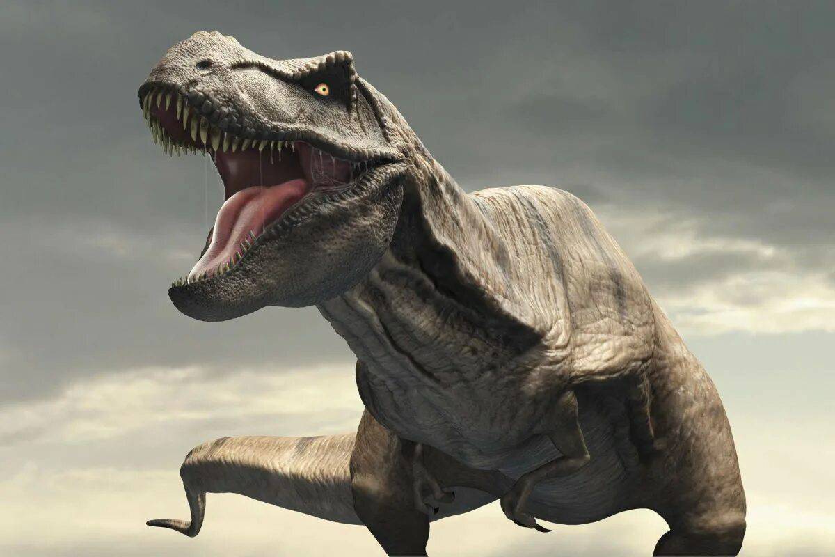 Тираннозавр рекс #14