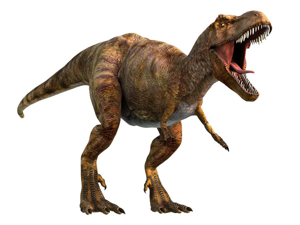 Тираннозавр рекс #16