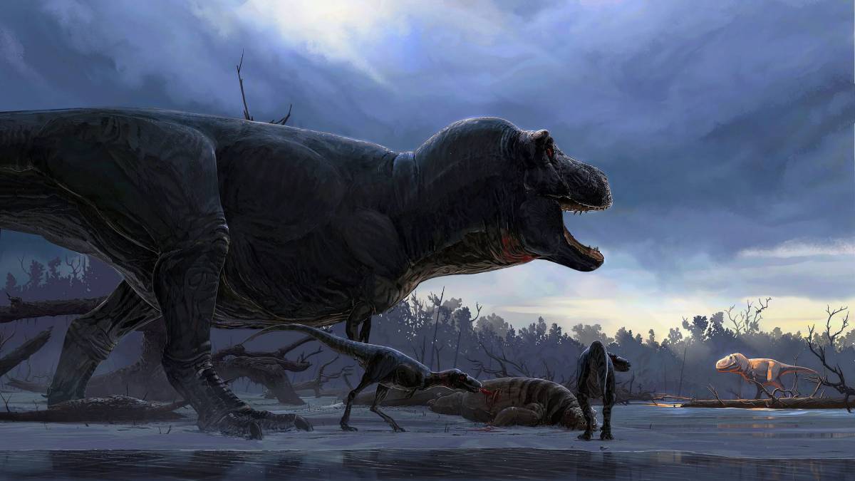 Тираннозавр рекс #17