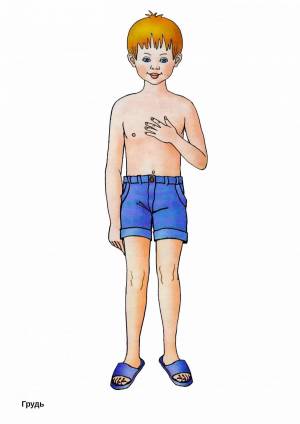 Раскраска тело человека для детей #15 #161077