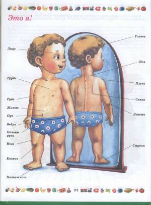 Раскраска тело человека для детей #33 #161095