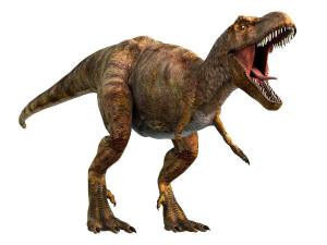 Раскраска тираннозавр рекс #16 #161904