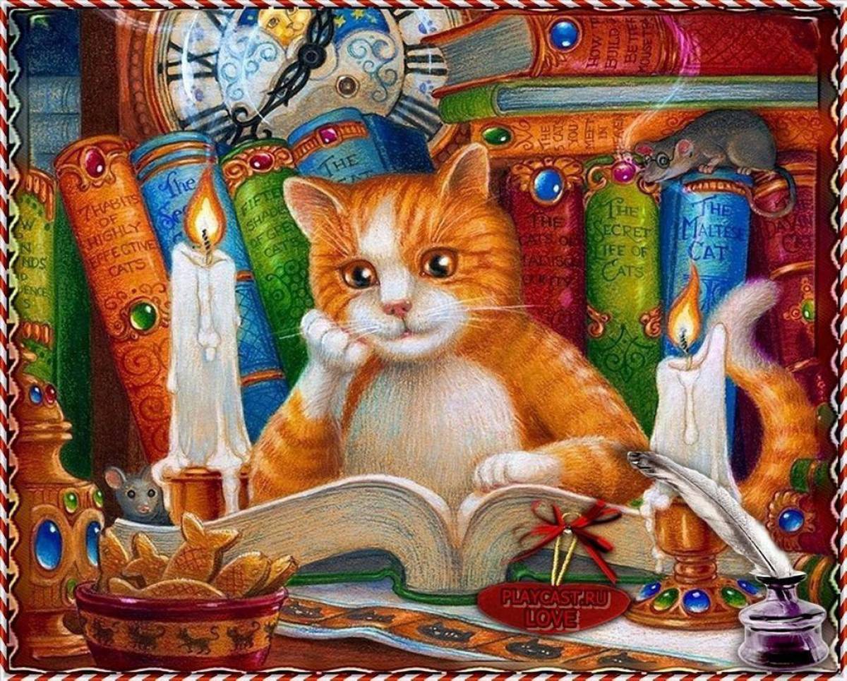 кошки с книгами картинки