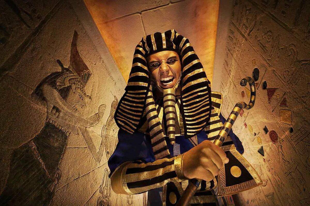 Фараон #17