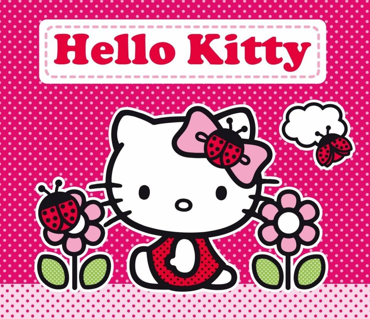 Китти с одеждой. Выходи за меня hello kitty. hello kitty dog. выйдешь за меня hello kitty. пикча выходи за меня с хеллоу китти.