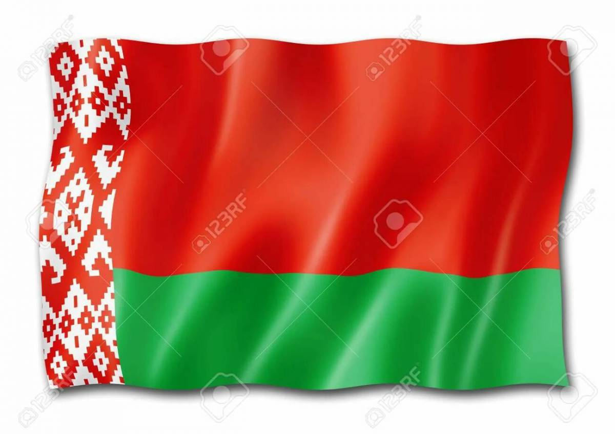 Флаг беларуси #8