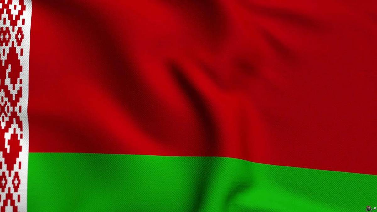 Флаг беларуси #17