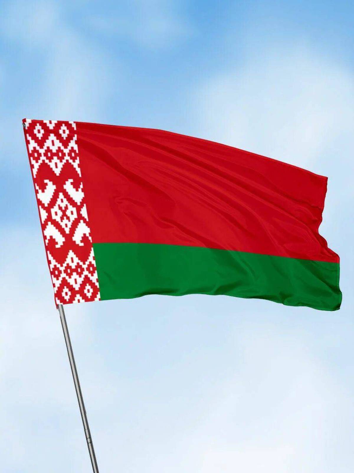 Флаг беларуси #19