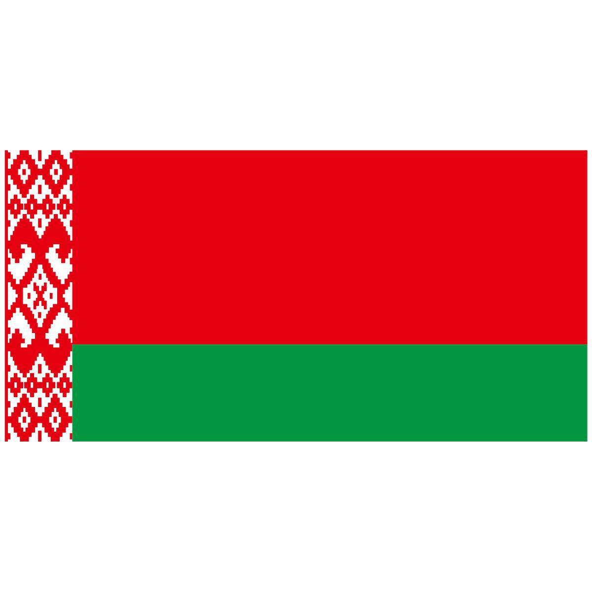 Флаг беларуси #22