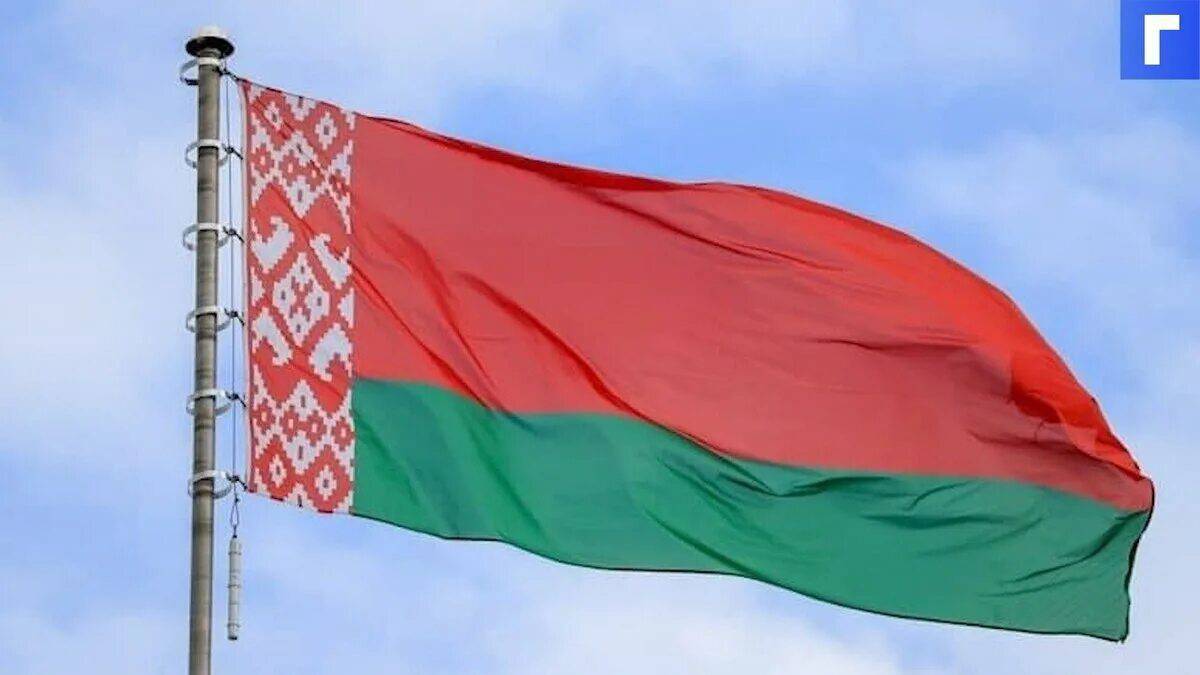 Флаг беларуси #26