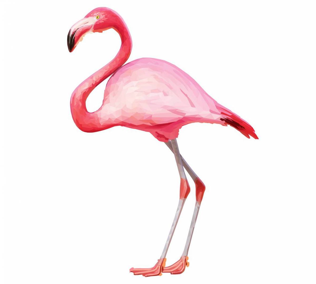 Фламинго для детей #1