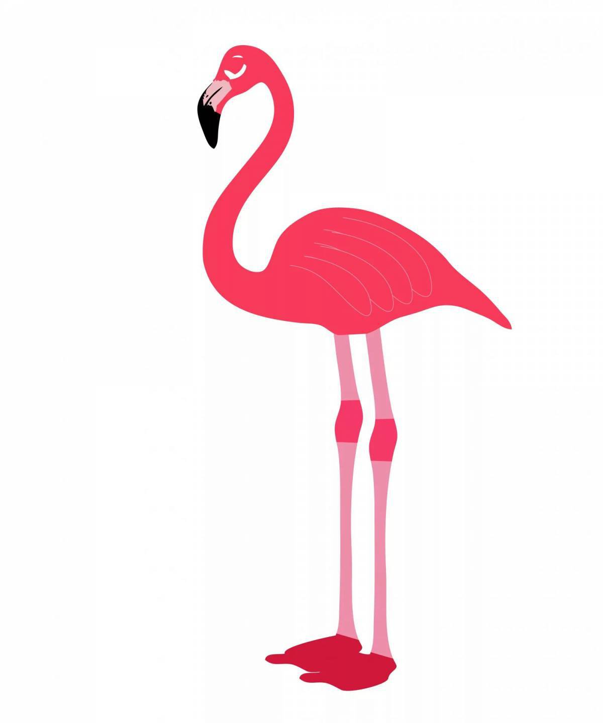 Фламинго для детей #6