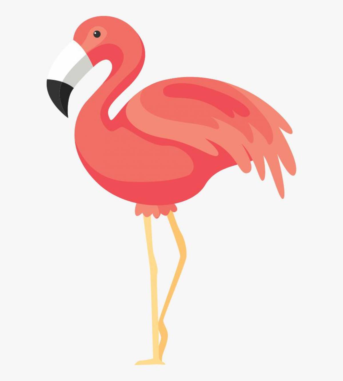 Фламинго для детей #7
