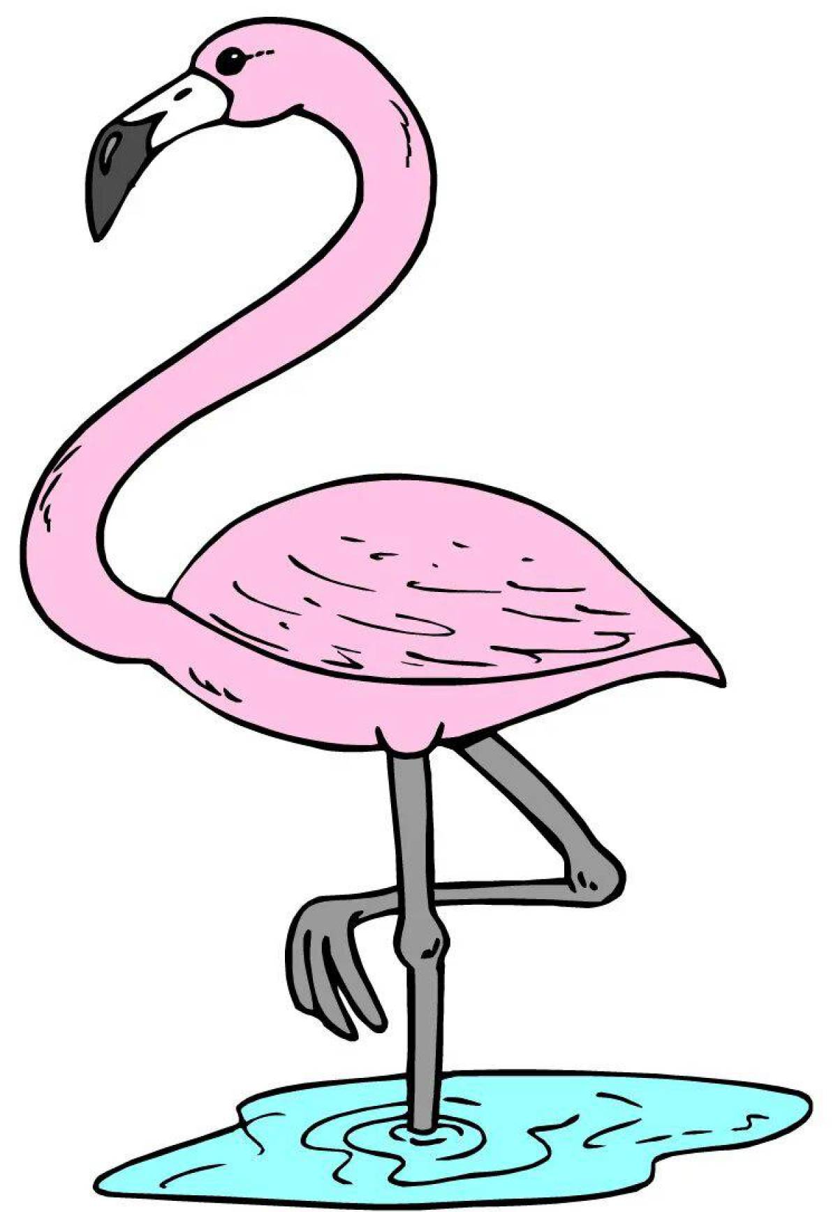 Фламинго для детей #8