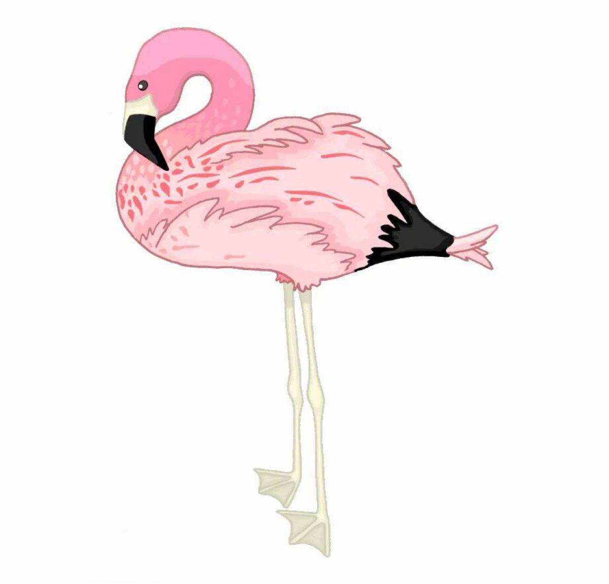 Фламинго для детей #9