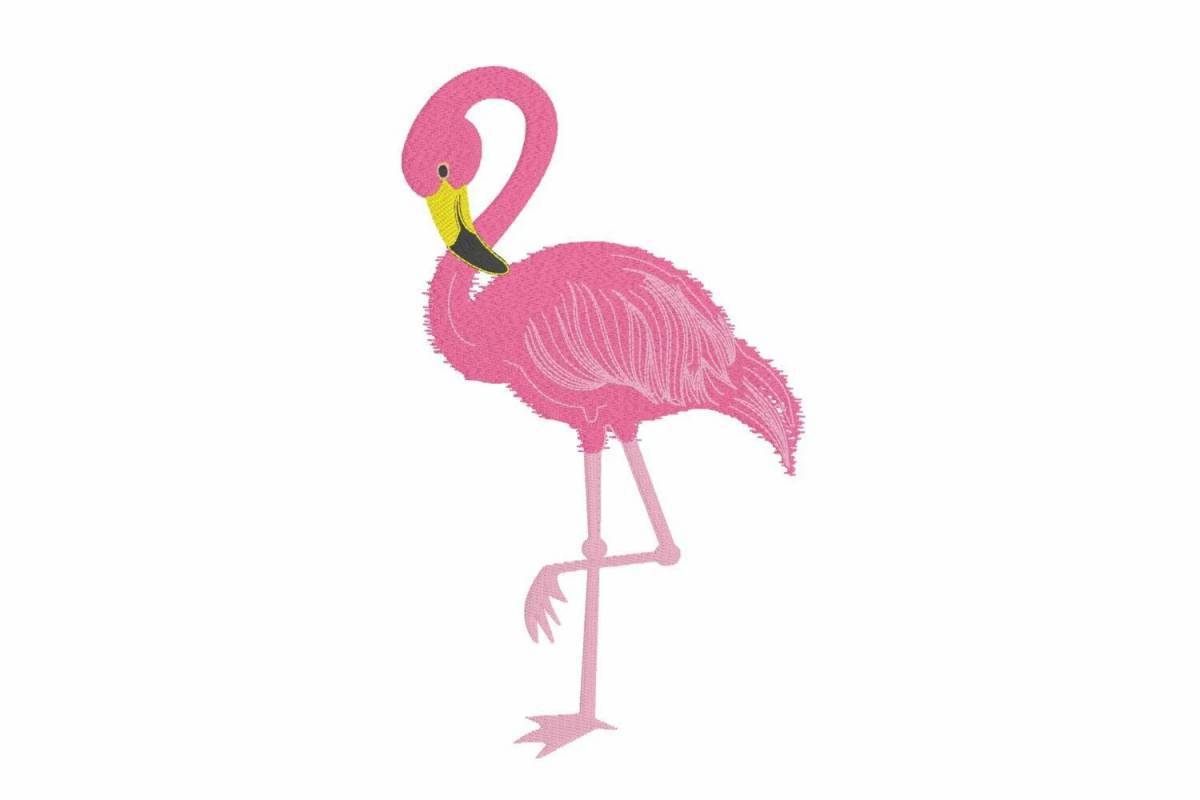 Фламинго для детей #15