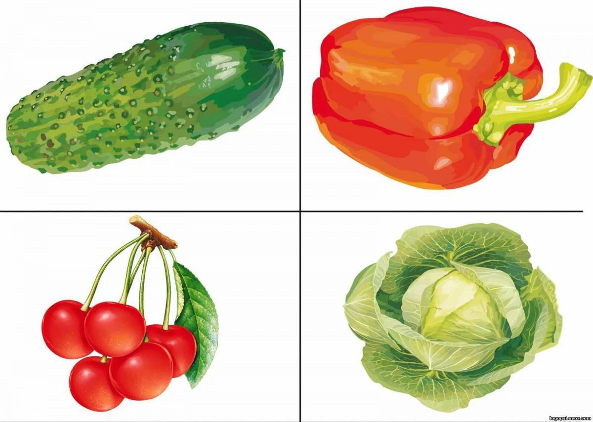 Цветные картинки для детей «Овощи»
